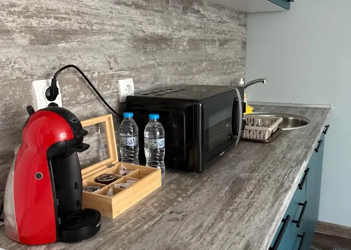 Vasi Veliko Tárnovo